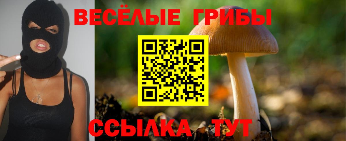 Галлюциногенные грибы ЛСД  Вход с VPN  что такое наркотик  Тавда 